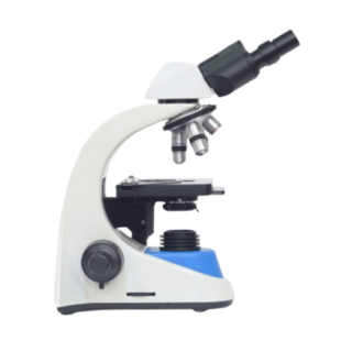 Biological Microscope, CA-MSC-B208(Siedentopf)