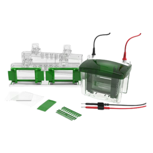 Electrophoresis & Imaging