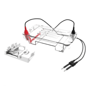 Horizontal Electrophoresis Cell, CA-GEP-HH-SUB01