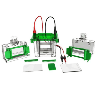 Mini Vertical Electrophoresis Tank, CA-GEP-VH-1