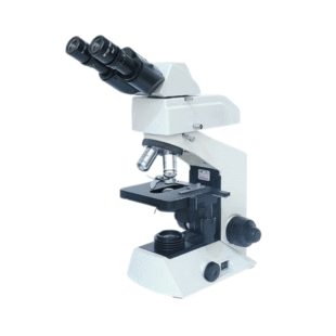 Fluorescence Microscope, Siedentopf CA-MSC-F201