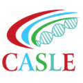 cropped casle logo.png