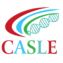 cropped casle logo.png